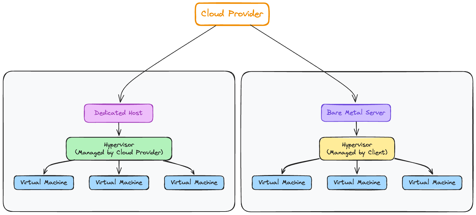 Bare Metal vs. Dedicated Host